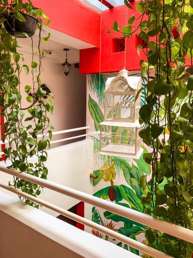 La Iguana Vallarta Lgbt Adults Only - Romantic Zone - Party Clubbing Street Puerto Vallarta Ngoại thất bức ảnh